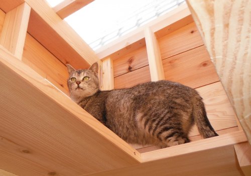 小さな家族のための小さなリフォームもお気軽にご相談ください。