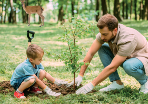 加須市を拠点に造園工事全般を承っています。