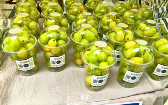 ギフトや特別な日に、季節の新鮮な果物はいかがでしょうか？