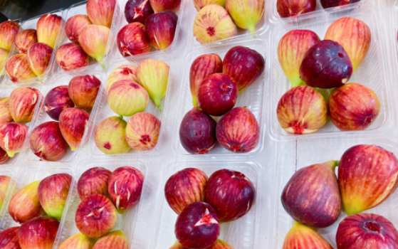 お取り扱い中の果物等はメニューリストをご覧ください。