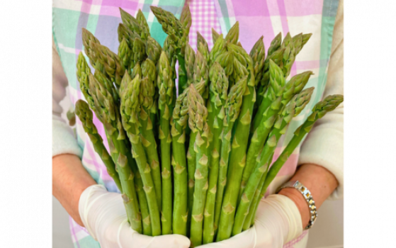 新鮮・朝採れの柔らかなアスパラガスです。