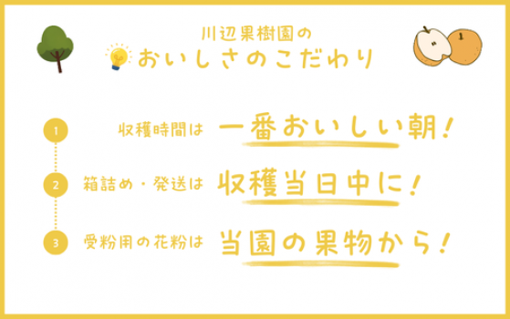 すべての梨においしさのこだわりが詰まっています