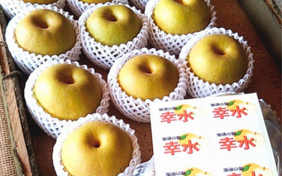 品種によって異なる味のバランスや食感をお楽しみください