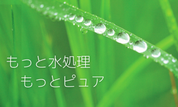 私たちは、きれいな水を取り戻す活動を行っています。