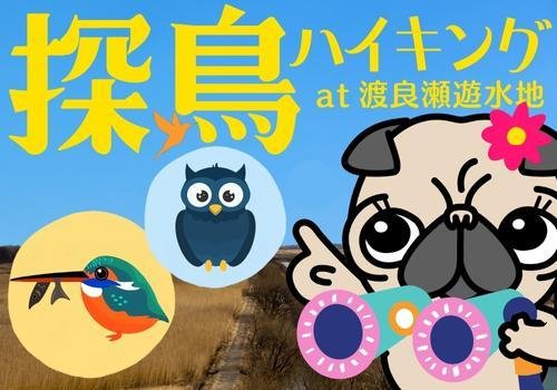 No.102　冬の野鳥の魅力たっぷり★渡良瀬遊水地探鳥ハイキングに参加しよう！