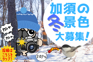 加須の冬景色大募集！